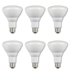 Pack of (6) 9 Watt Dimmable BR30 Medium (E26) LED Bulbs - 750 Lumens, 2700K, and 80CRI