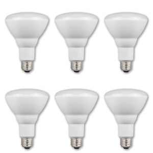 Pack of (6) 9 Watt Dimmable BR30 Medium (E26) LED Bulbs - 750 Lumens, 2700K, and 80CRI